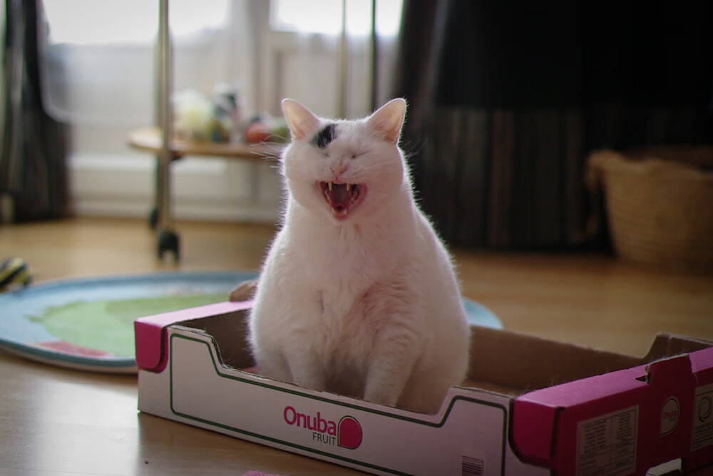 开云全站-基层足球场地建设滞后制约发展，足球场地建设方案  第1张