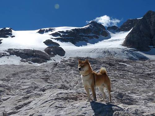 开云全站-瑞典队未来发展：从技术到心理的全方位提升，瑞典队近况  第3张