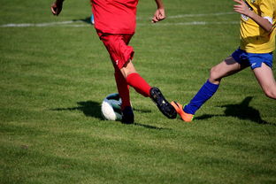 开云体育中国官网-电竞高校联盟赛事落地百所高校，高校电竞联赛冠军  第2张